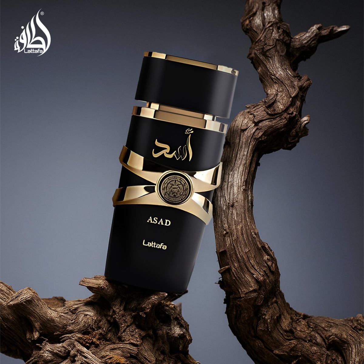 ASAD 100ML LATTAFA